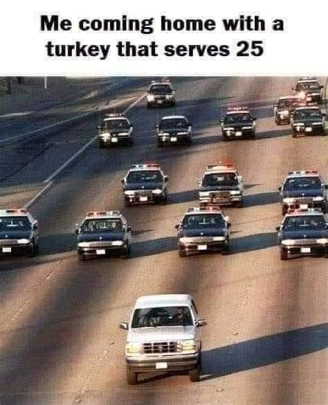 Covid Turkeys Thanksgiving
