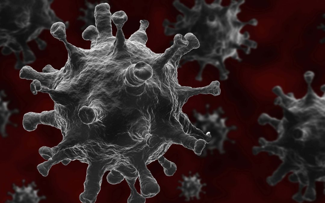 Coronavirus Hoax Used to Create DeFacto Global Martial Law
